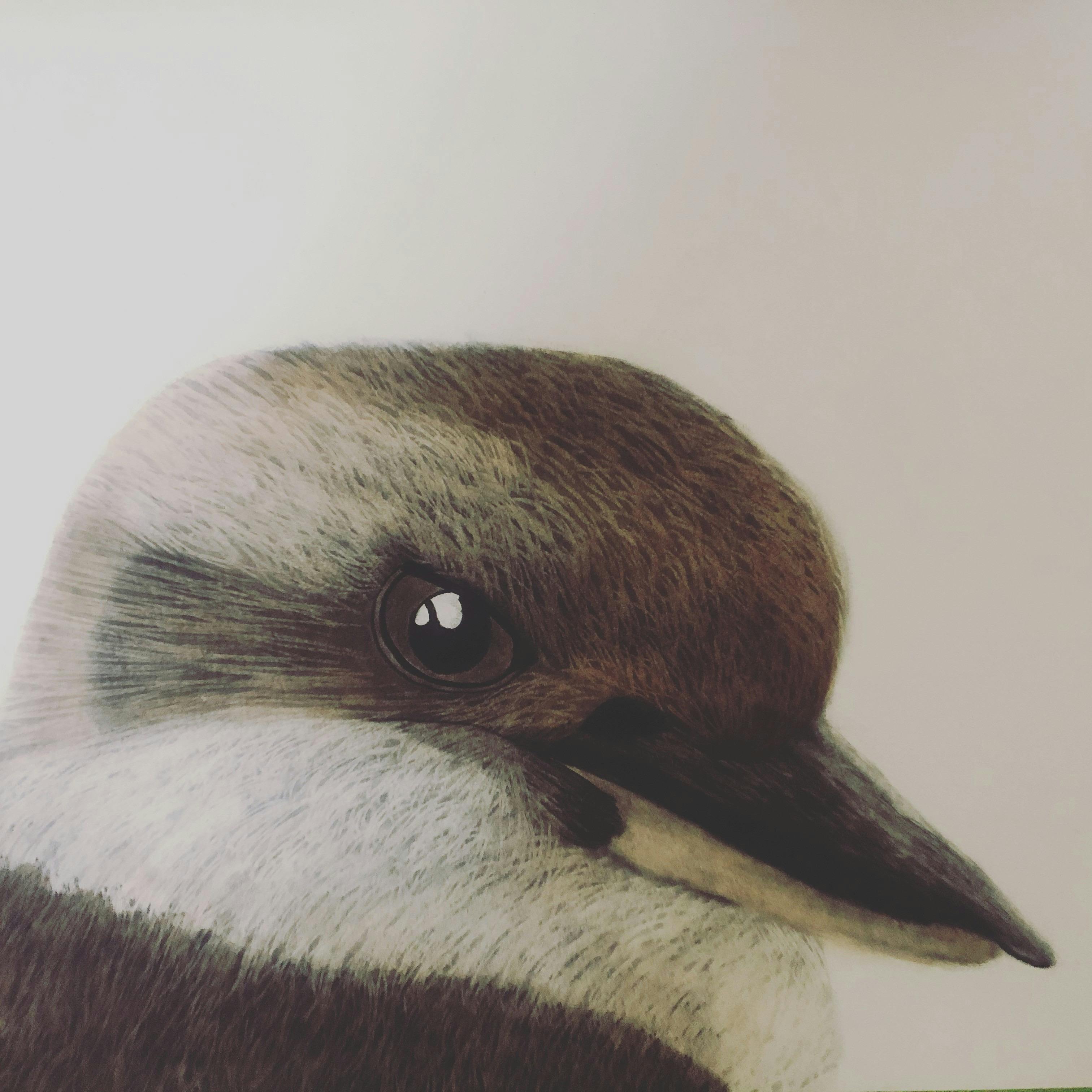 BIG, BOLD & BRIGHT Exhibition