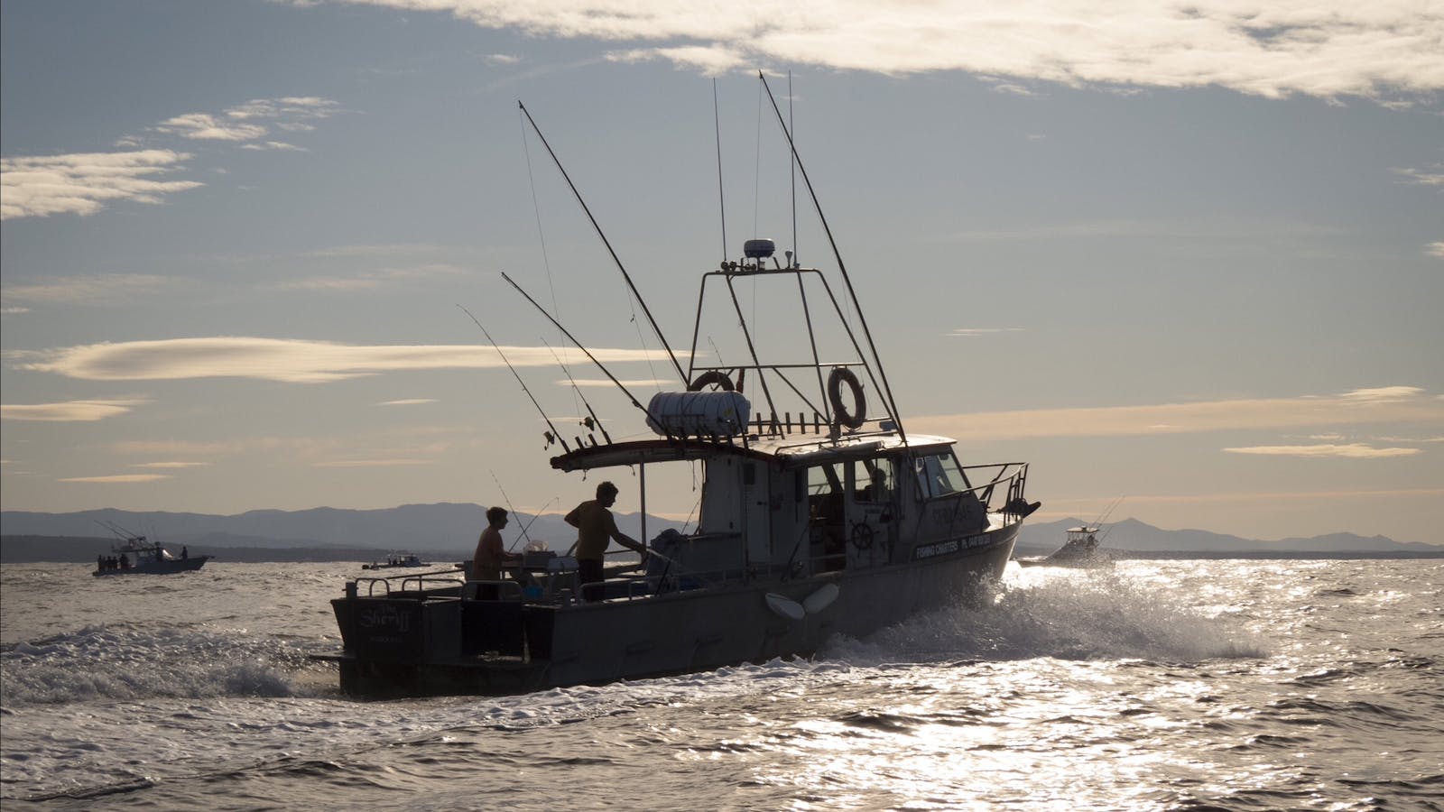 Montague Island Game and Sport Fishing Charters