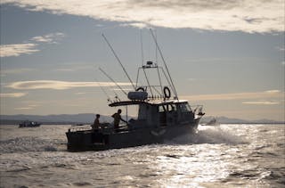 Montague Island Game and Sport Fishing Charters