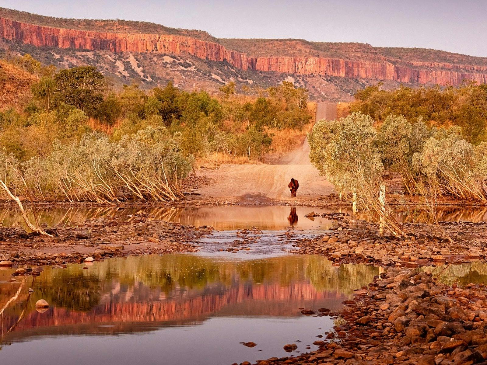 Adventure Wild Kimberley Tours, Broome, Western Australia