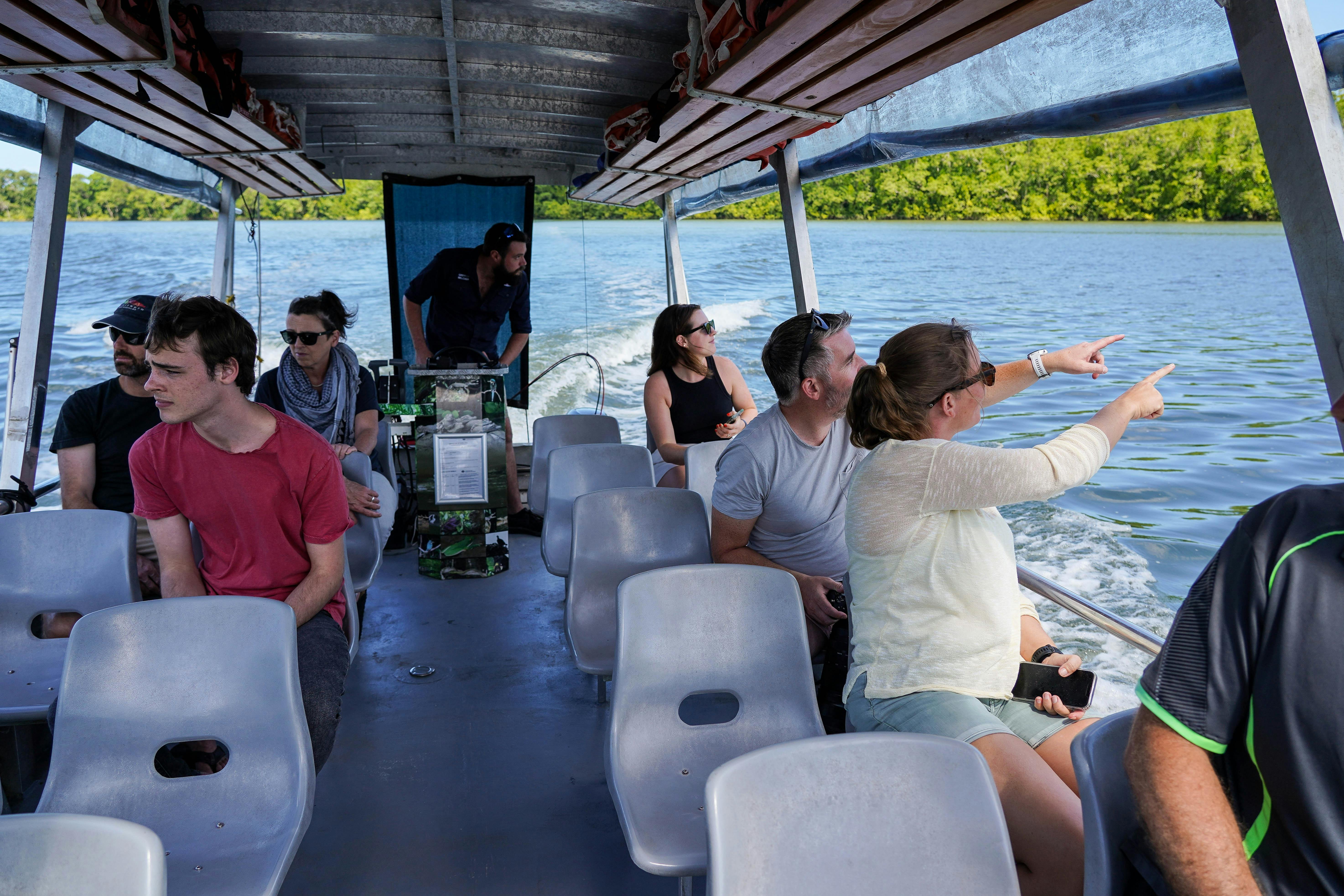Daintree Wildlife Cruise with Daintree Discovery Tours