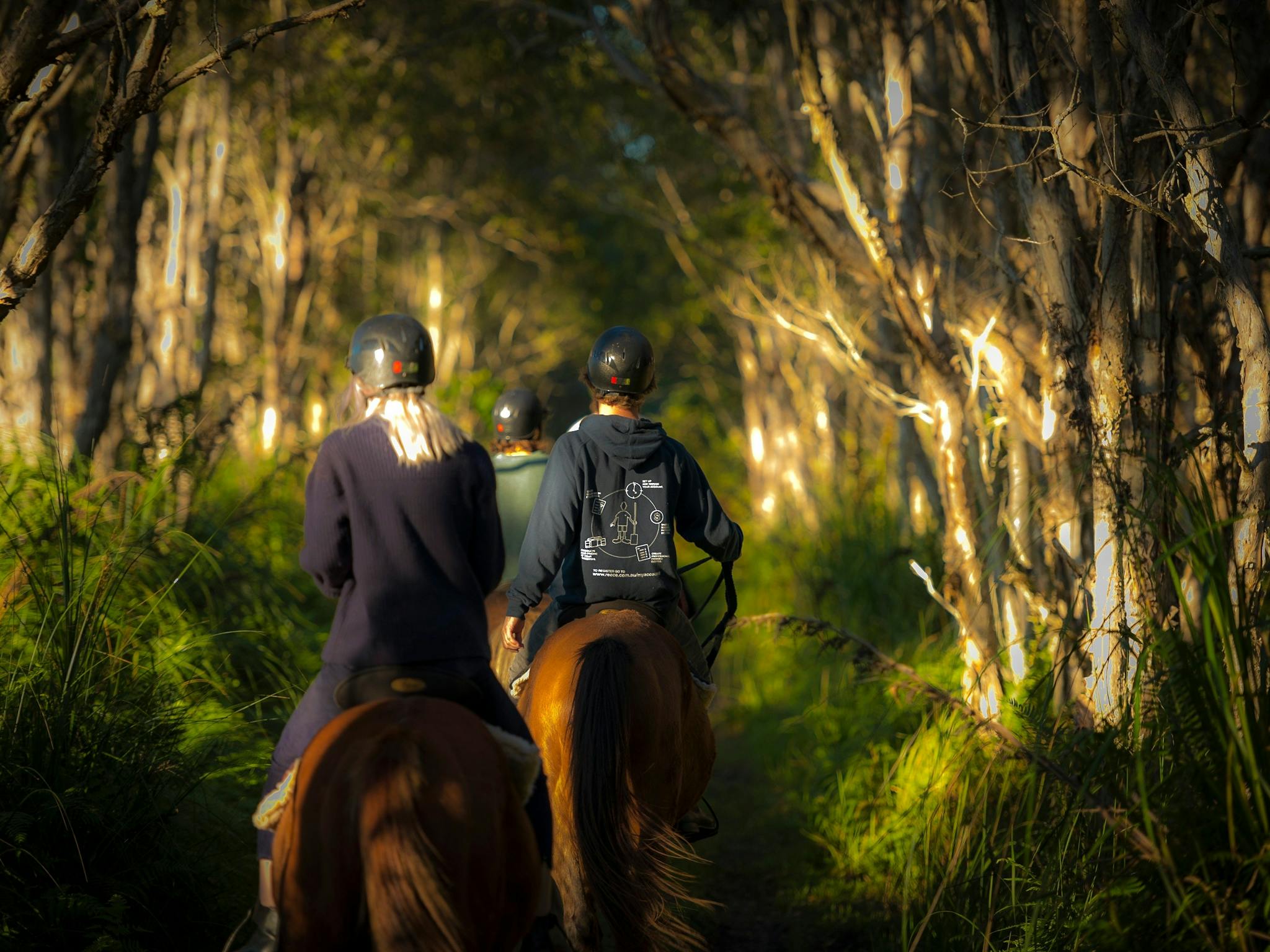 Riding in the forest
