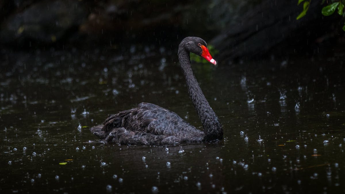 Ipswich Nature Centre