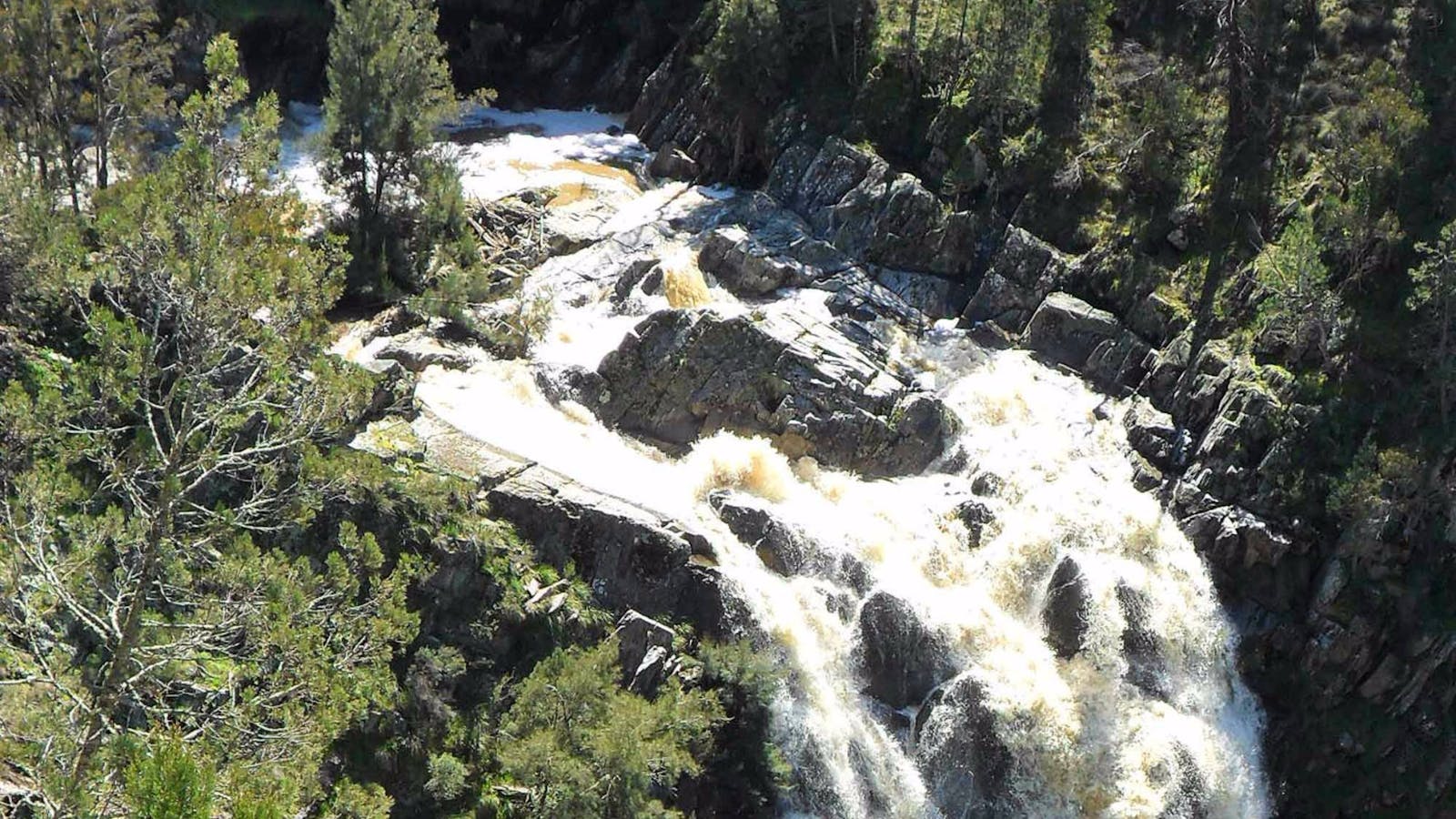 Grove Creek Falls Walking Track