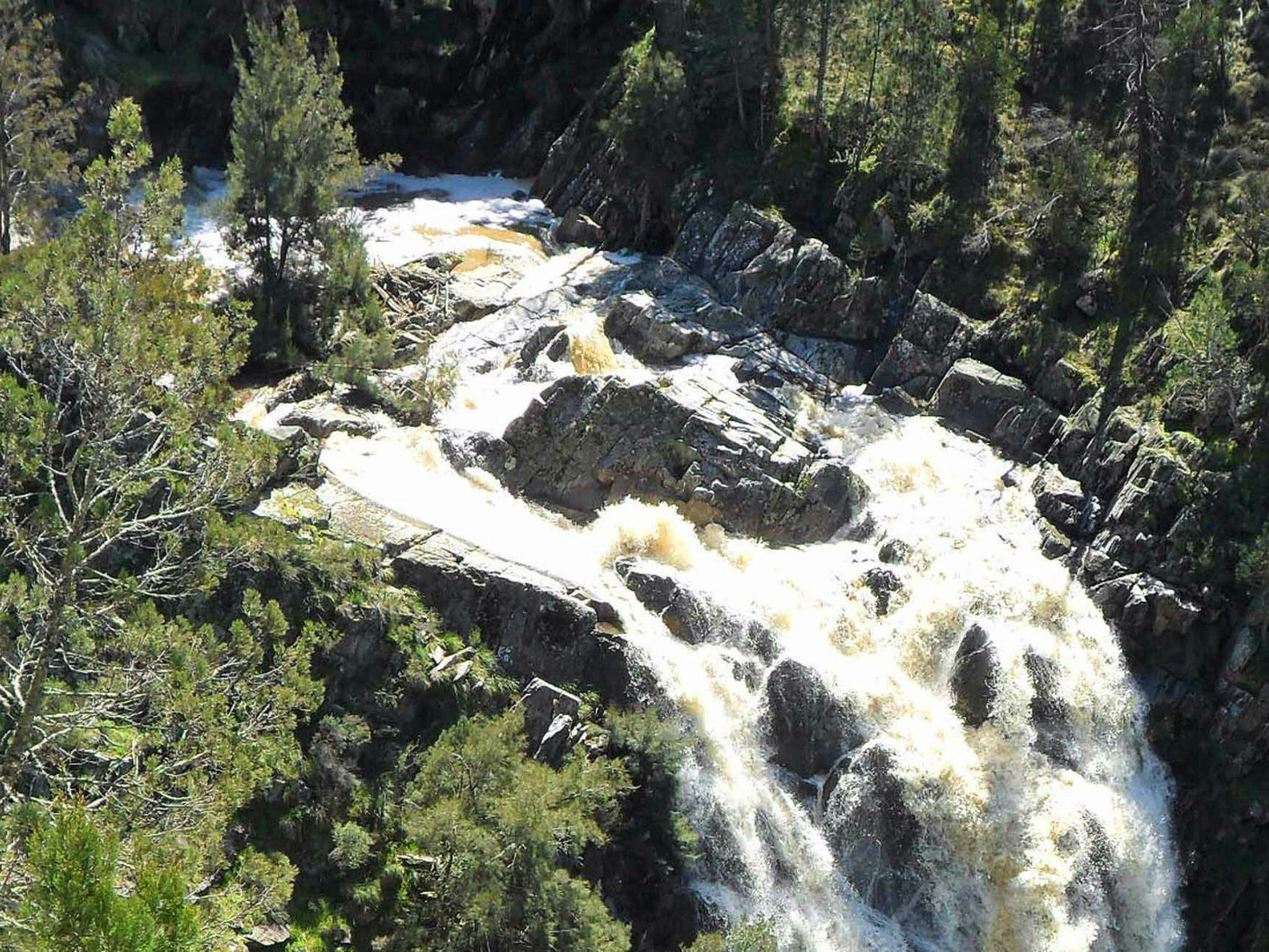 Grove Creek Falls Walk, Abercrombie Karst Conservation Reserve. Photo: OEH/NSW Government