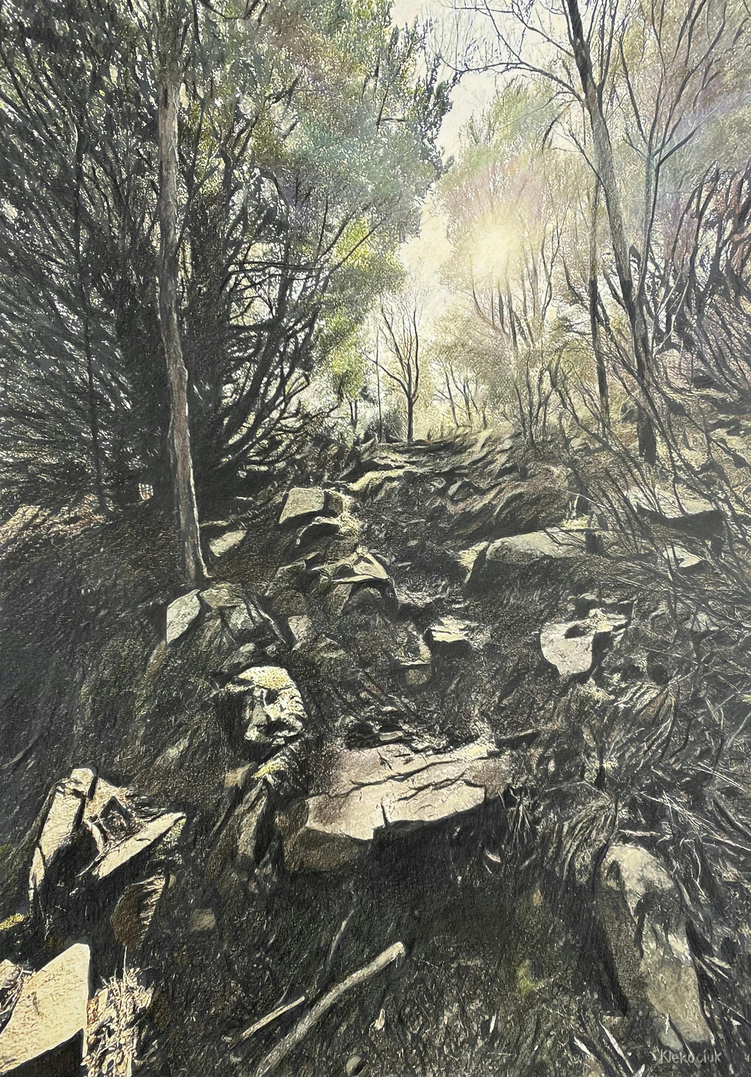 Art, pencil, drawing, exhibition, tasmania