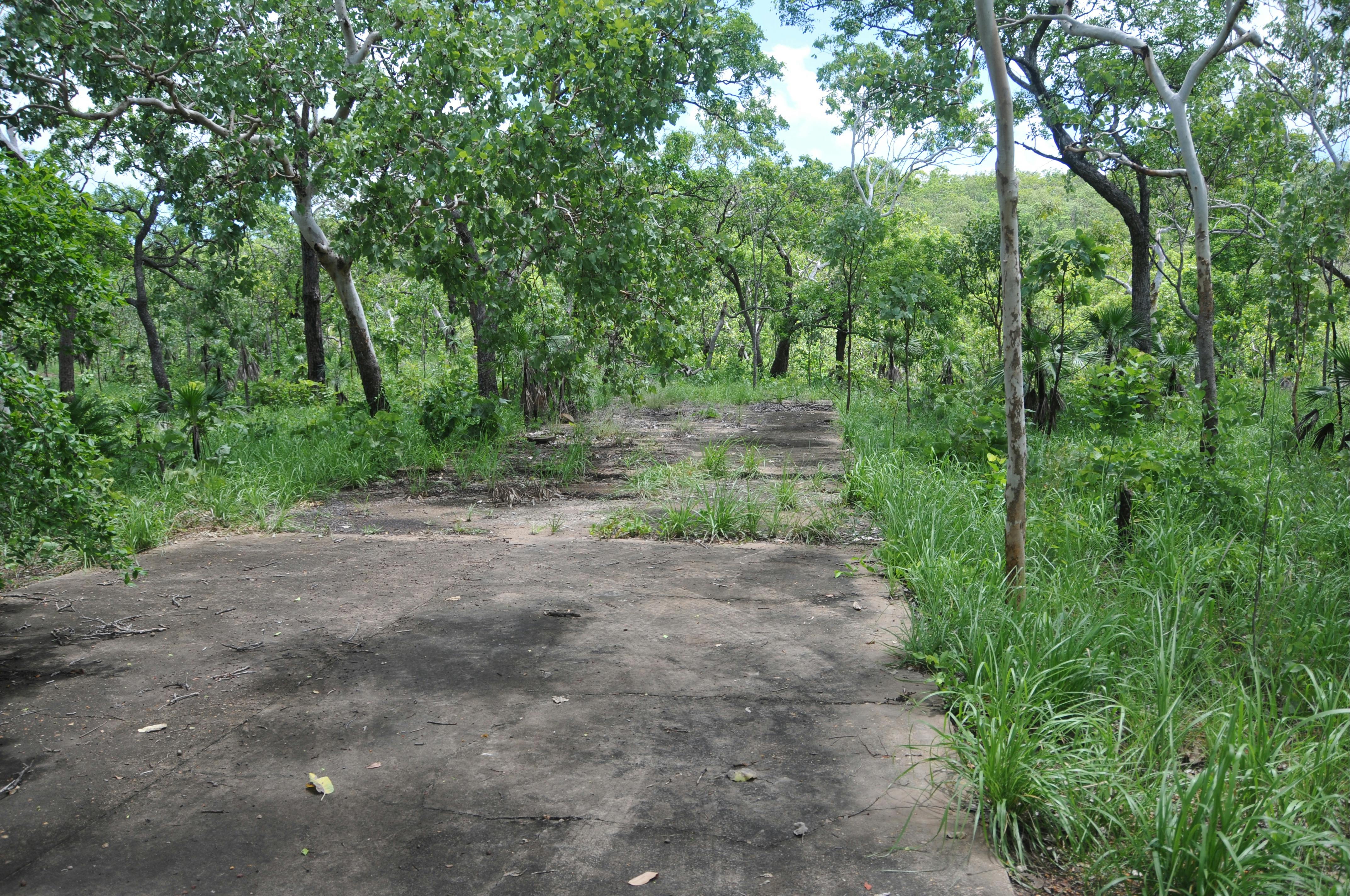 Large concrete floor slab of main ward building