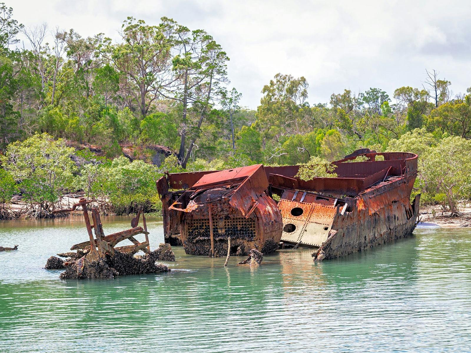 Ceratodus wreck Fraser Island