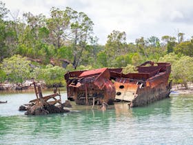 Ceratodus wreck Fraser Island