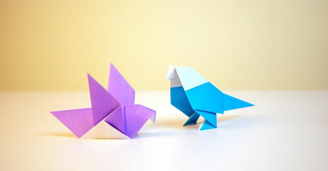 Beautiful Bird Origami