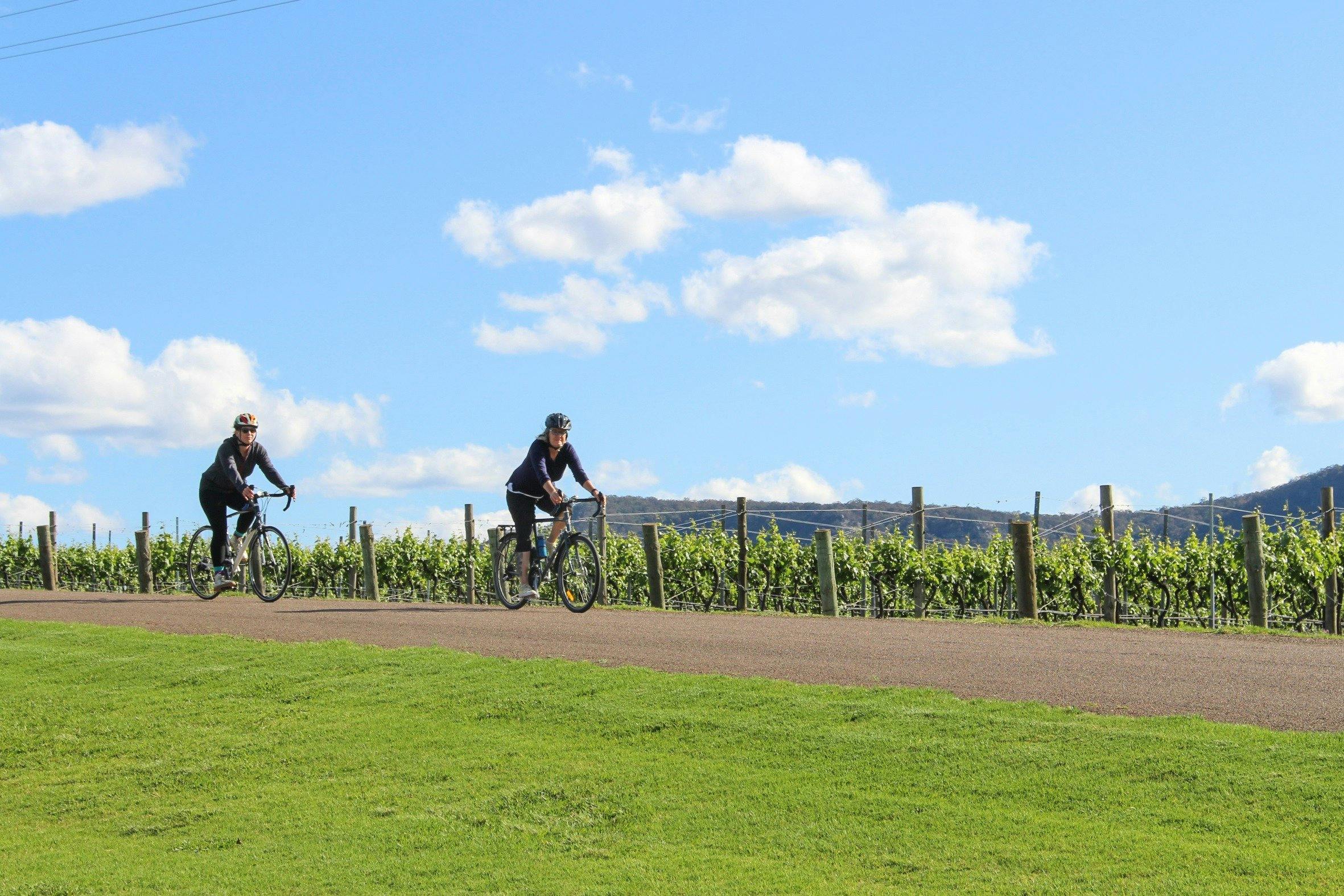 Two cyslists riding along Hermitage Road bike track on their way to a winery