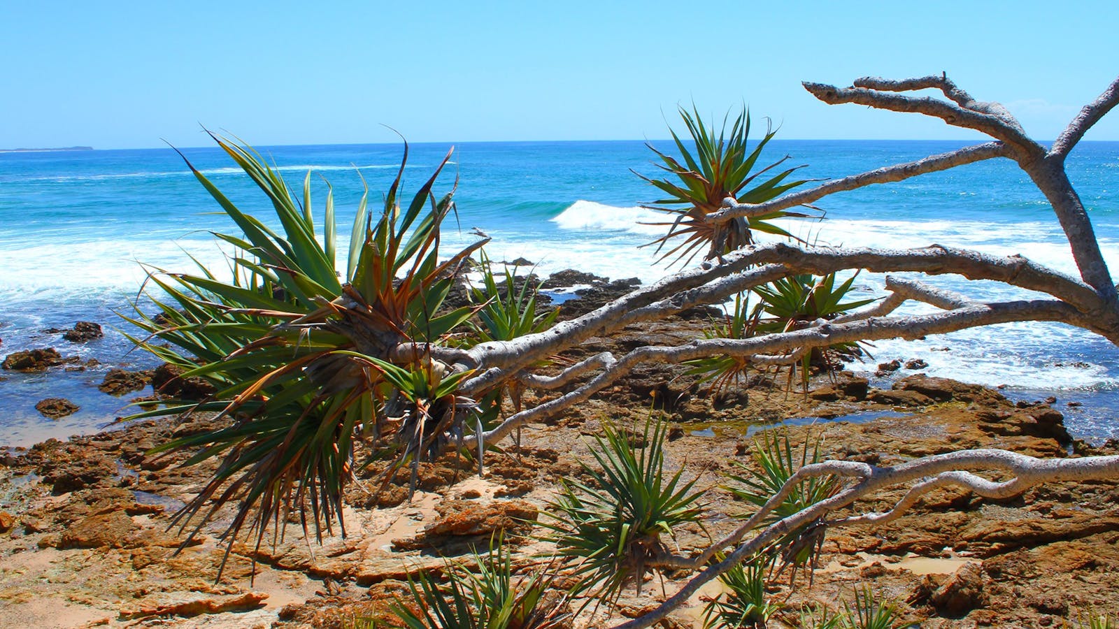 Rocky Point