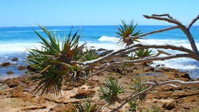 Rocky Point