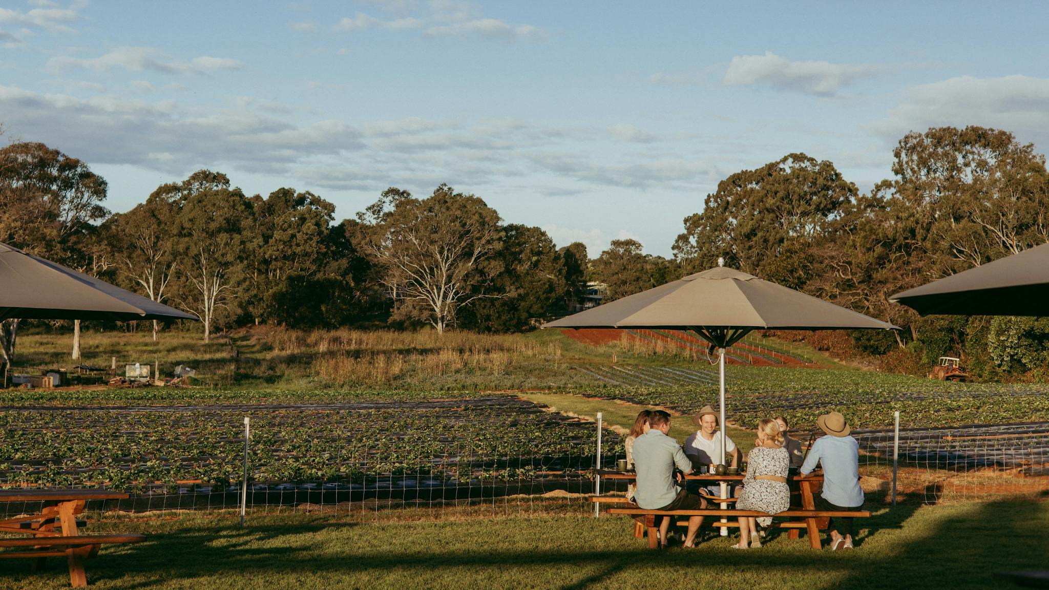 Wellington Point Farm