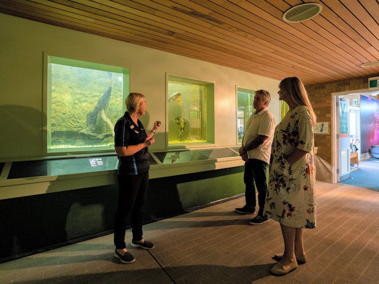 Visitors at the aquarium room at the John Lake Centre
