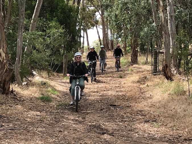 Bike About Hahndorf Wine Loop guided Ebike wine tour
