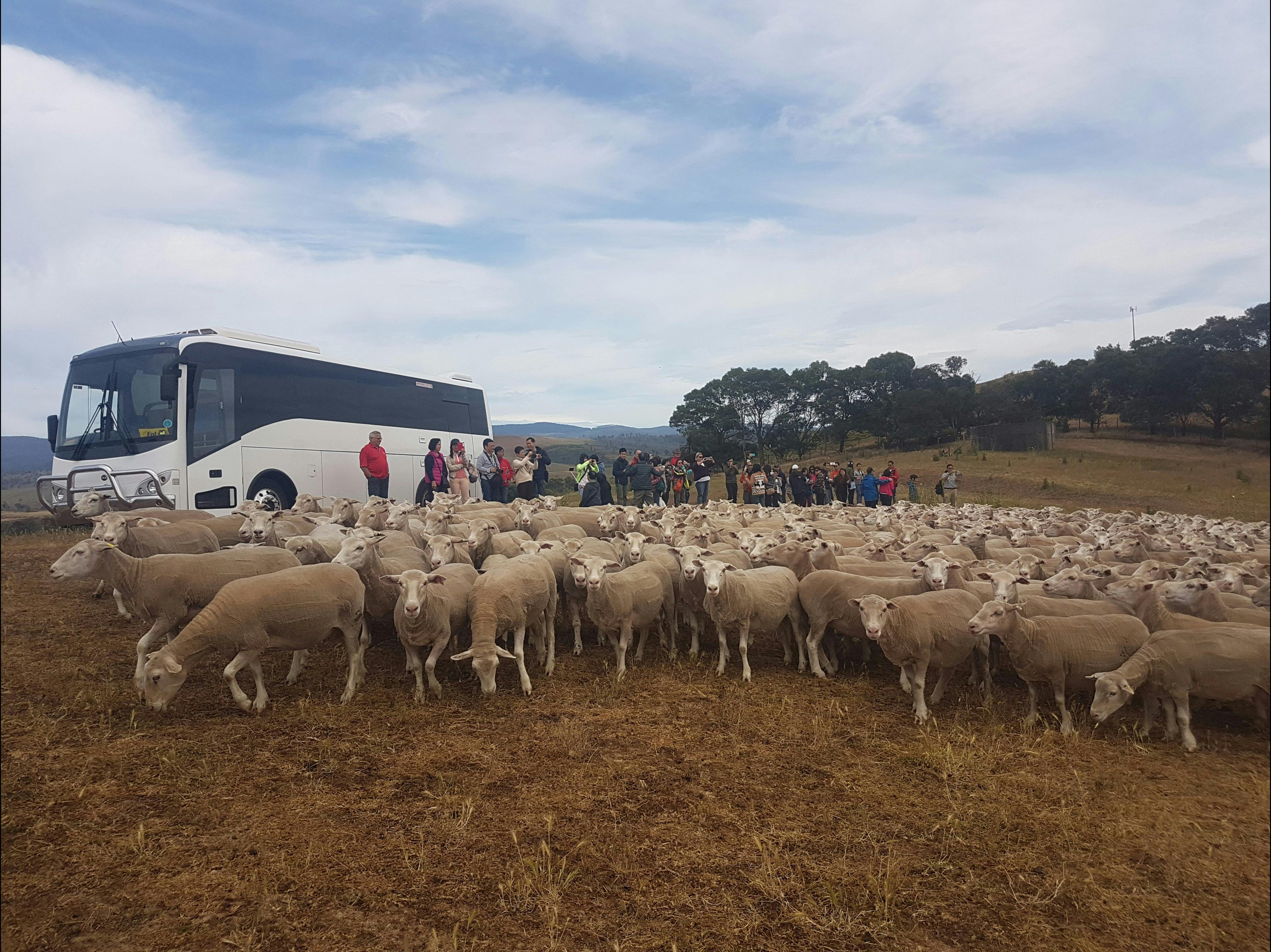 farm tours australia