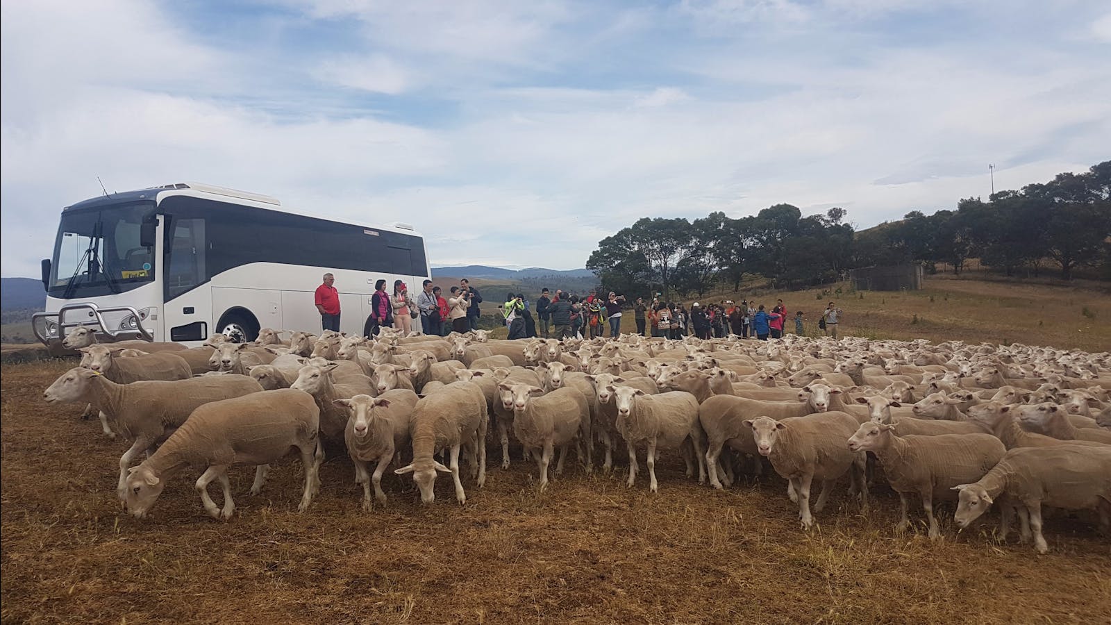 Curringa Farm - Accommodation and Farm Tours