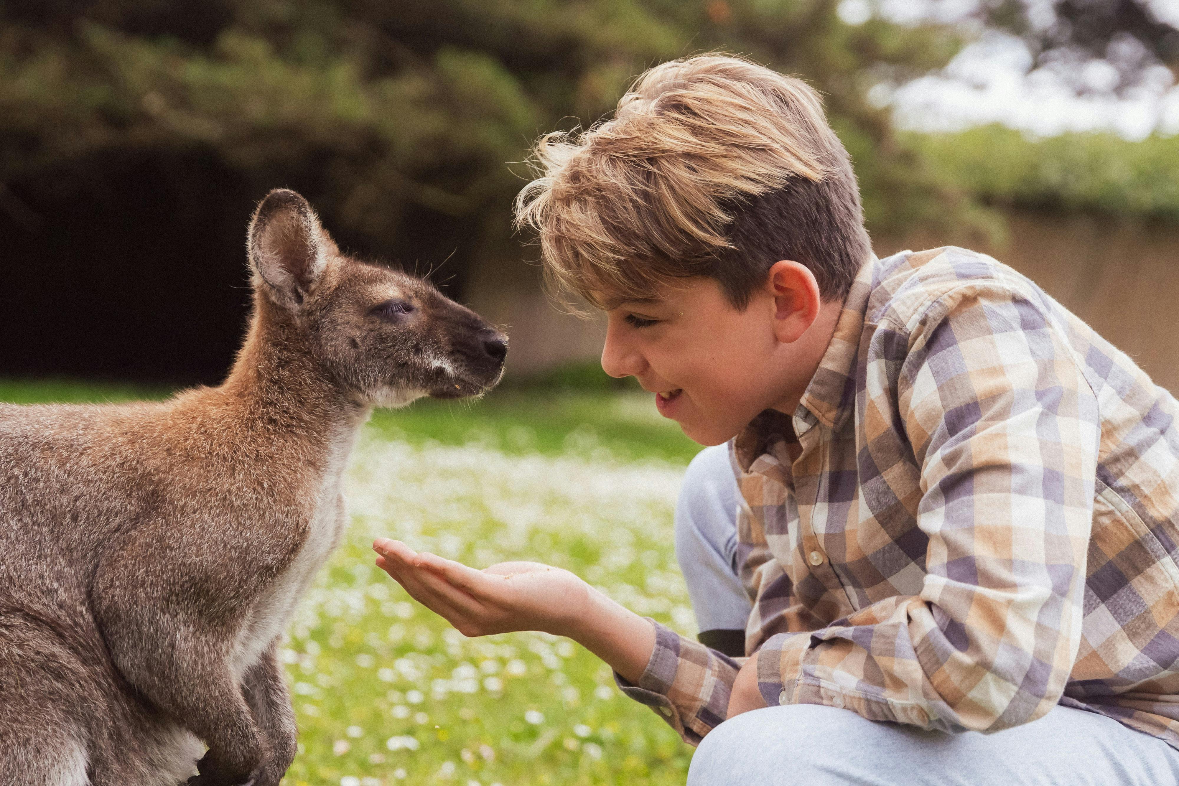 Great Ocean Road Wildlife Park