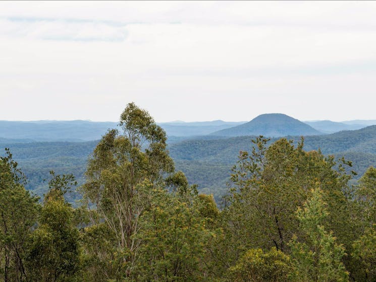 Mount Yengo lookout