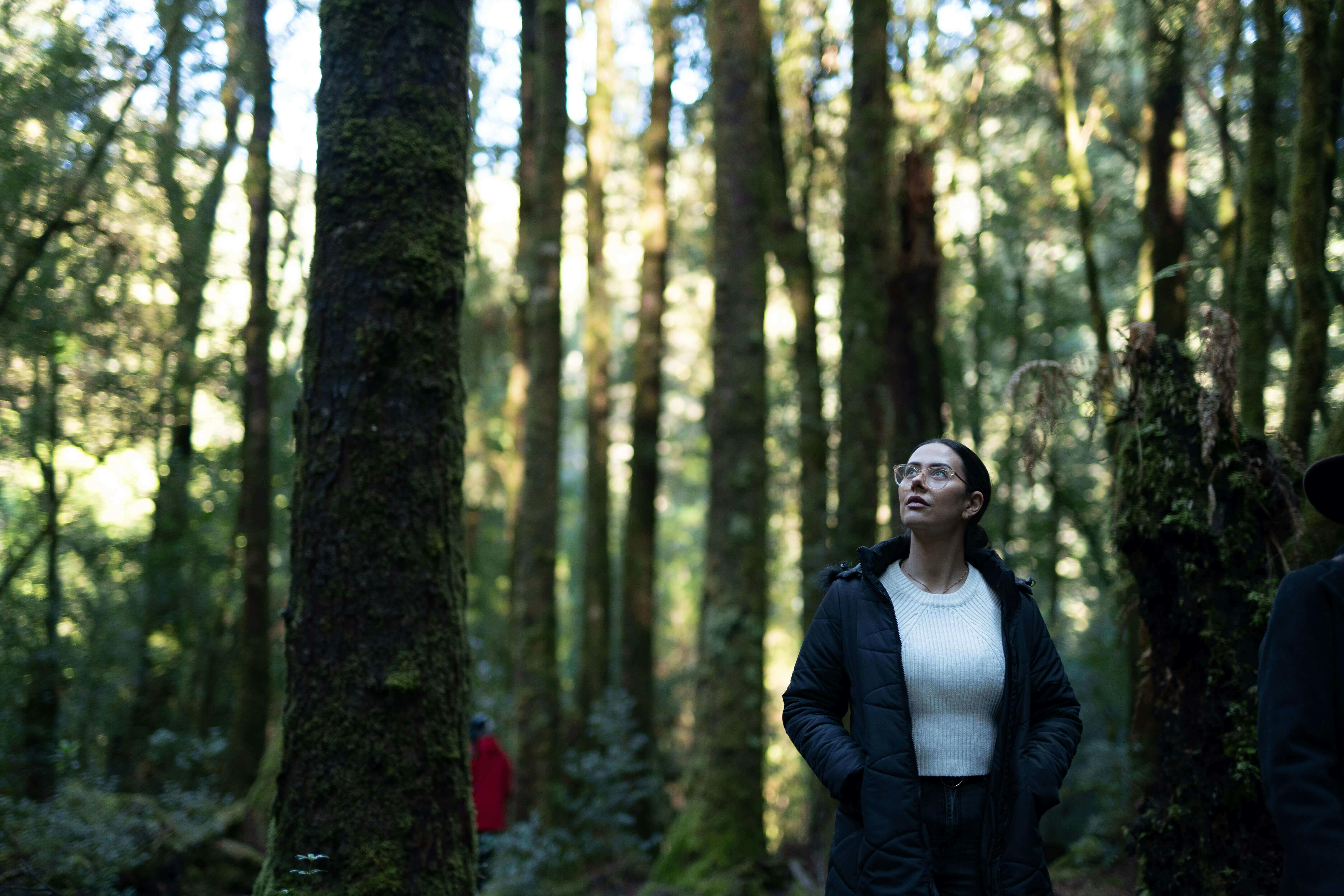 Passenger walks through the rainforest on a walk at a remote station