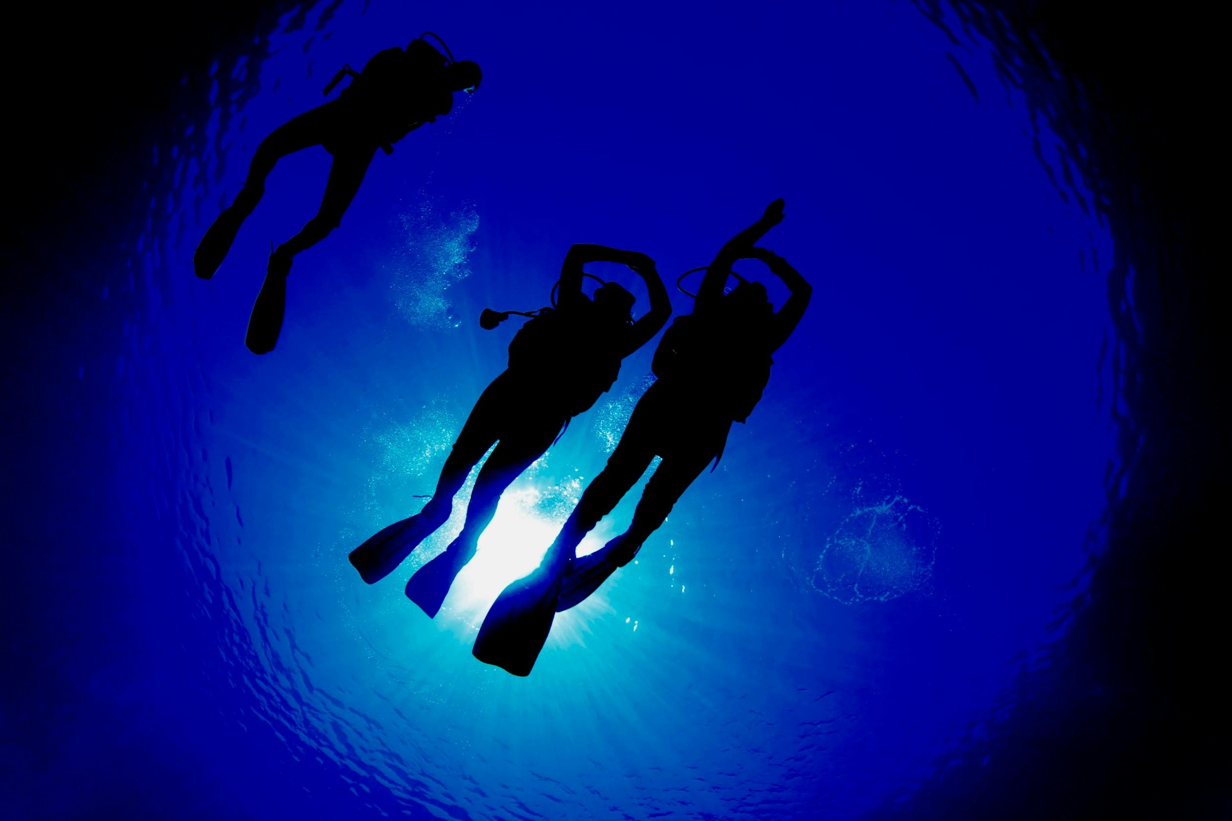 divers using compass underwater in buddy pairs with sun reflection