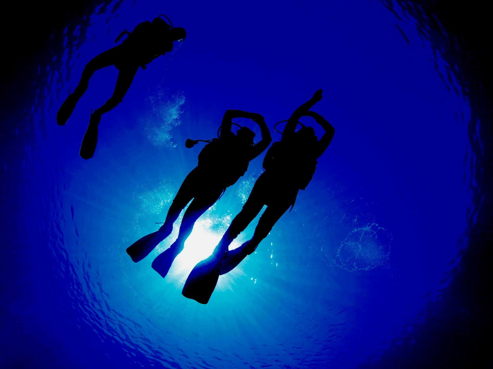 divers using compass underwater in buddy pairs with sun reflection divers using compass underwater in buddy pairs with sun reflection