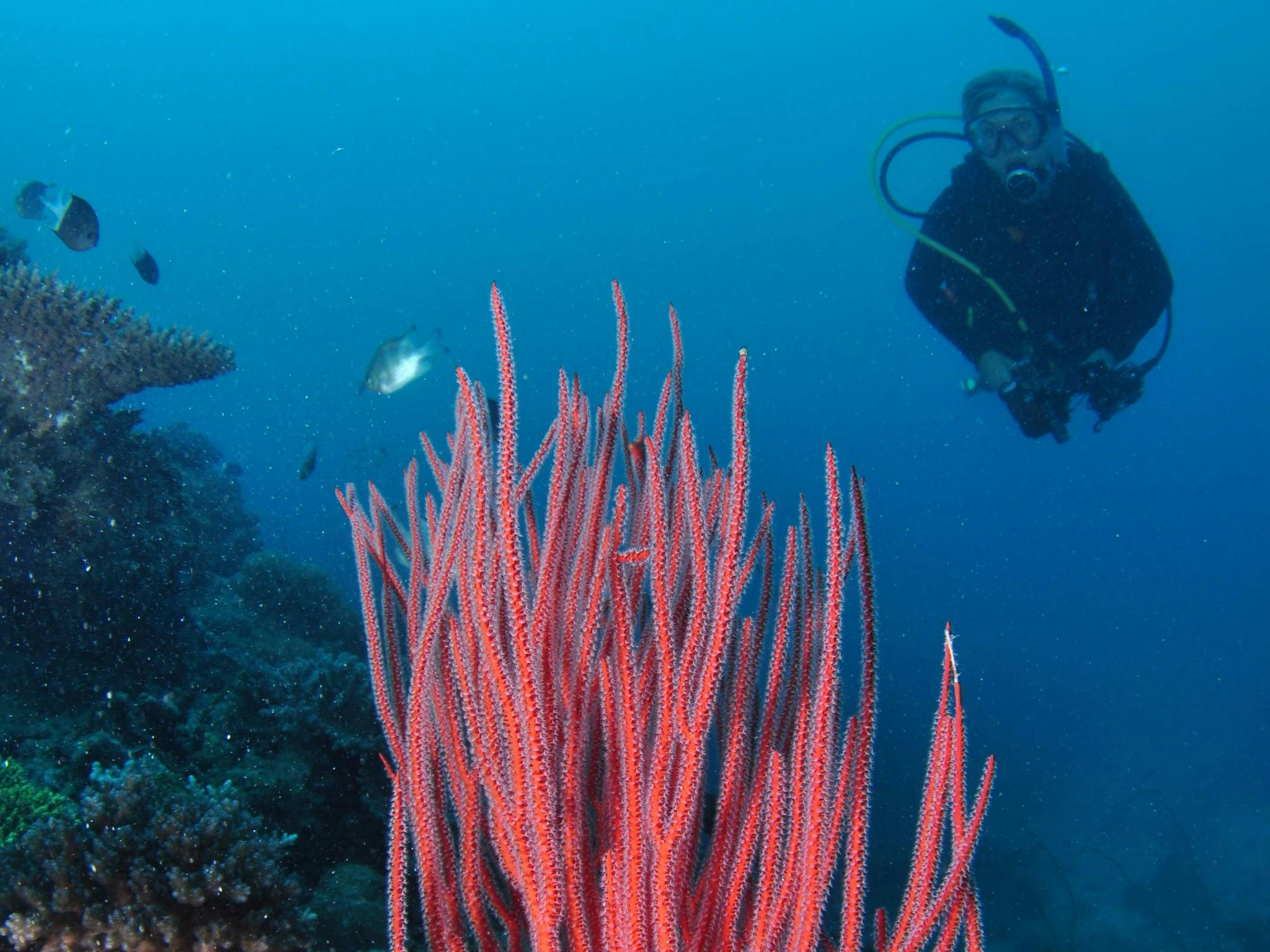 Eddy Reef Eddy Reef