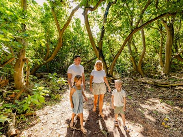 Family tour Lady Musgrave Island