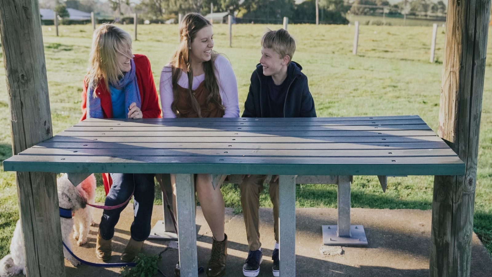 Picnic spot at Bolwarra Lookout