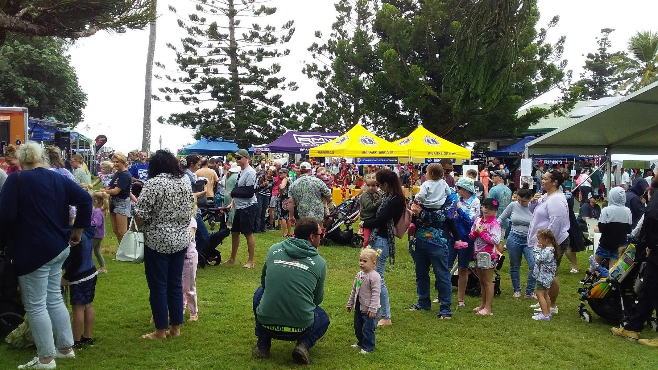 Crowds attending festival