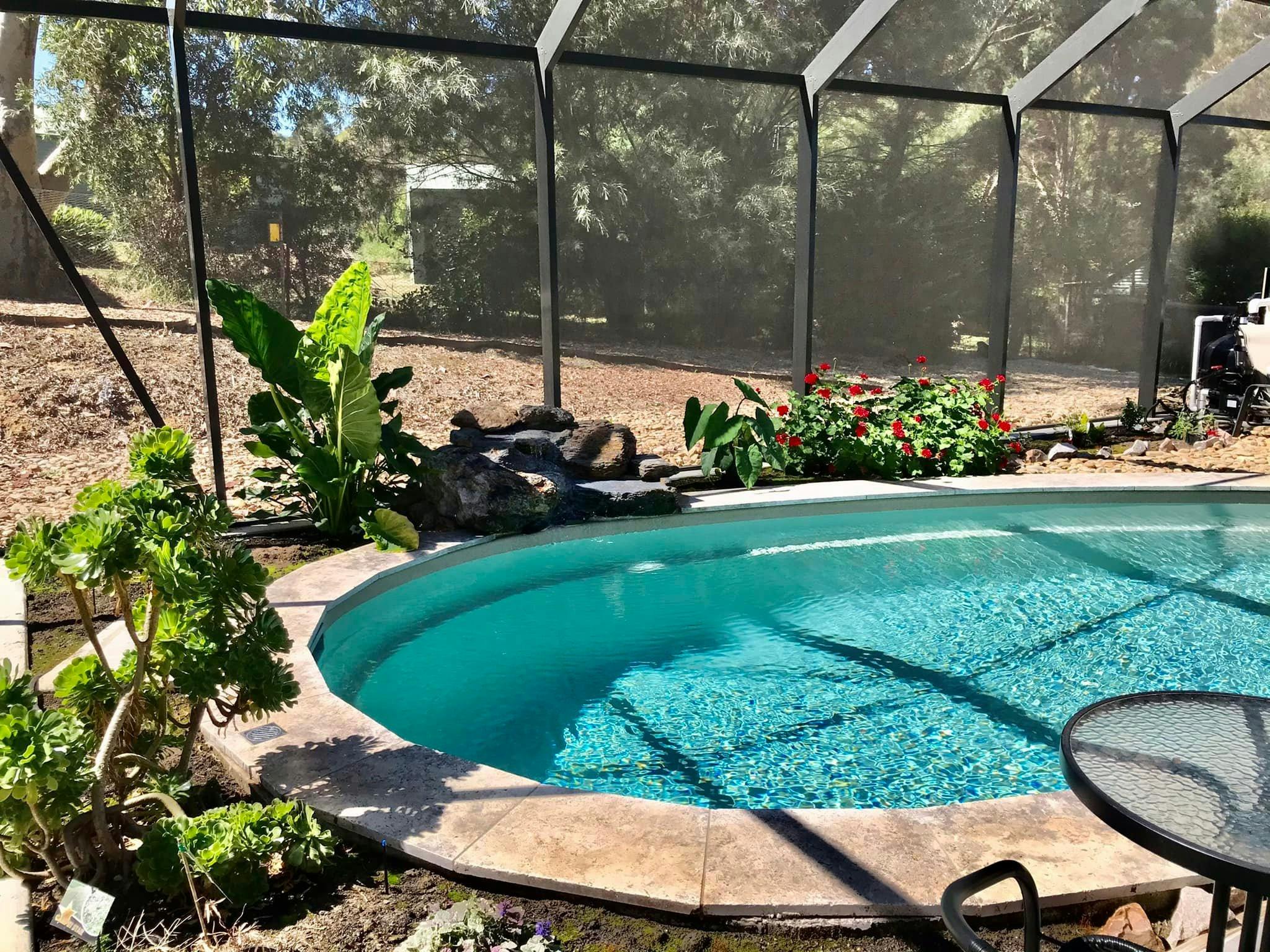 Swimming Pool for Guests Use