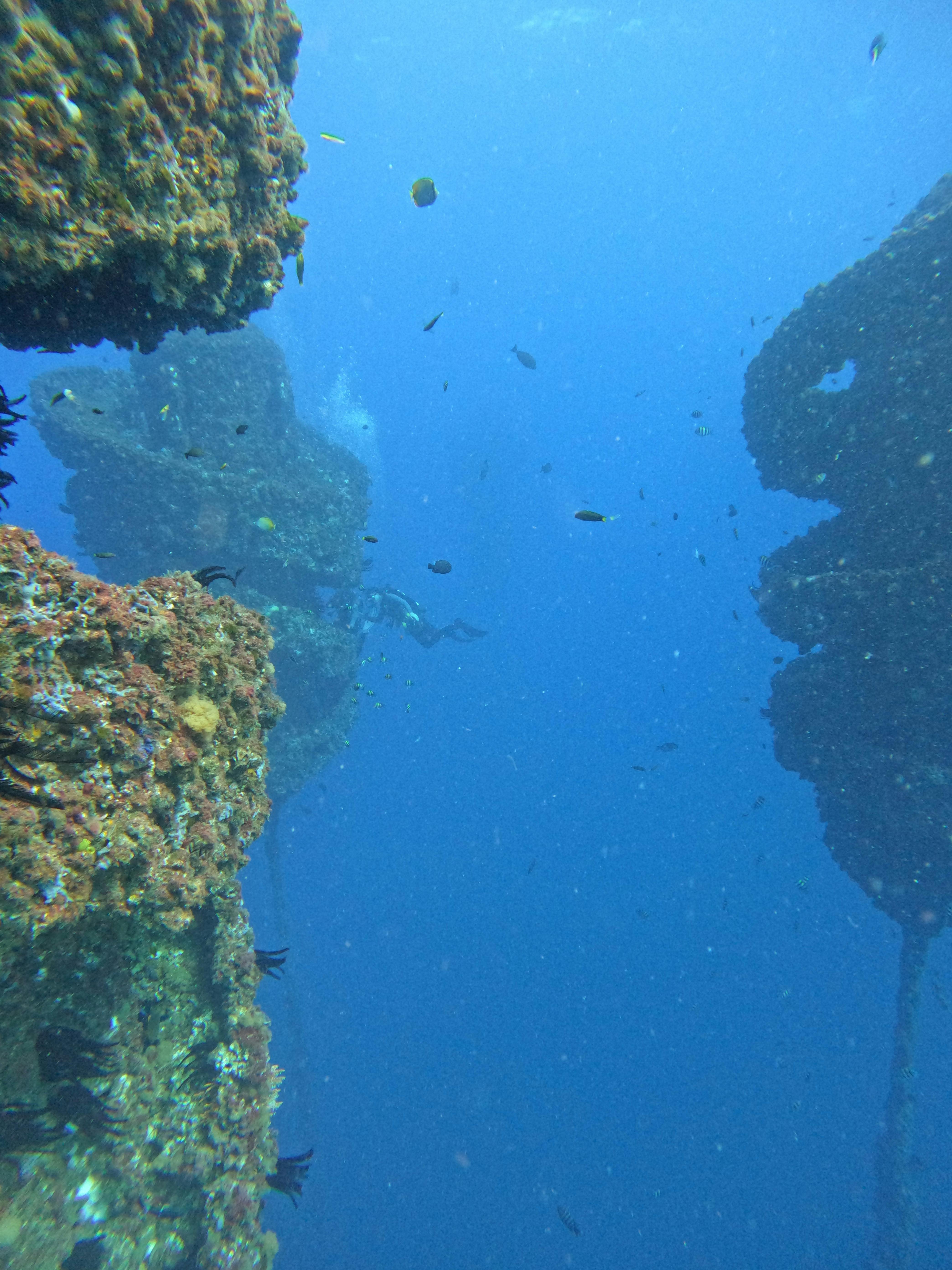 Wonder Reef Gold Coast