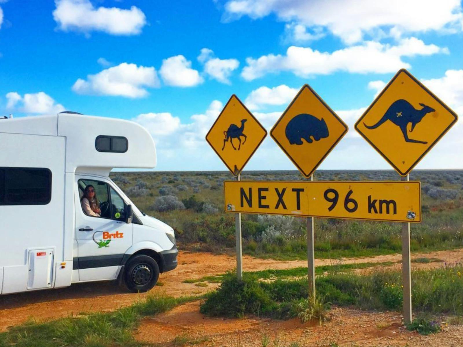 A campervan next to a kangaroo, wombat and camel warning sign