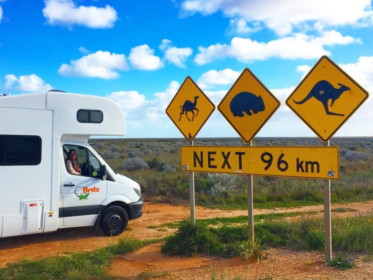 A campervan next to a kangaroo, wombat and camel warning sign