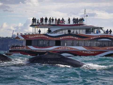 2hr Express Cruise