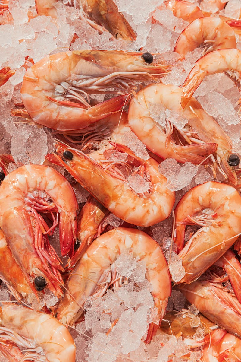 Fresh Trawler Caught Prawns