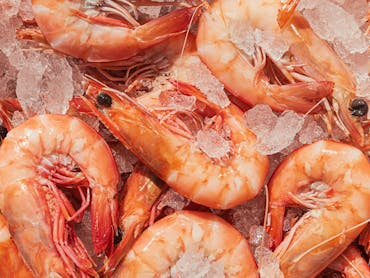 Fresh Trawler Caught Prawns