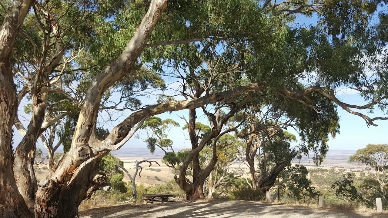 Spring Gully Conservation Park