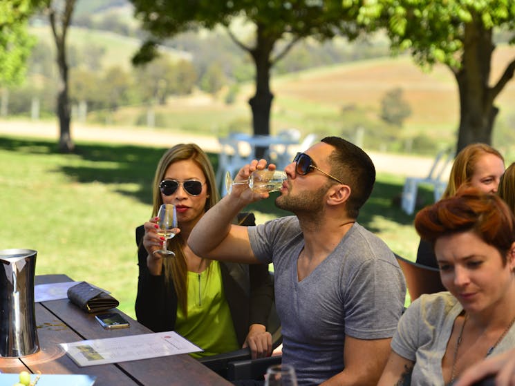 Hunter-Valley-Wine-Tour-Including-lunch-Cheese-&-Chocolate-Tasting-With-Wildlife-Experience
