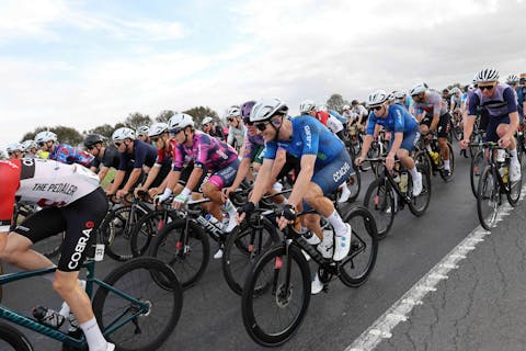 Whalebone 28 40f9c1d5898504a4a039eab08afdcc03