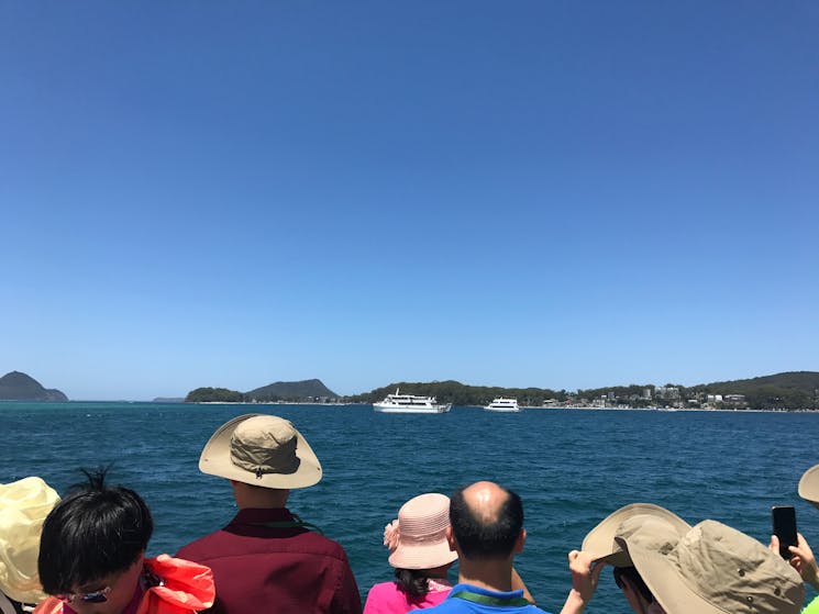Dolphin Watching Port Stephens aboard Moonshadow V