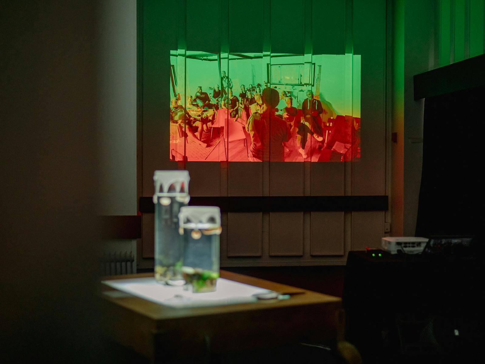 An art installtion in the mkean room as a projected art work and then two jars with sea life in them