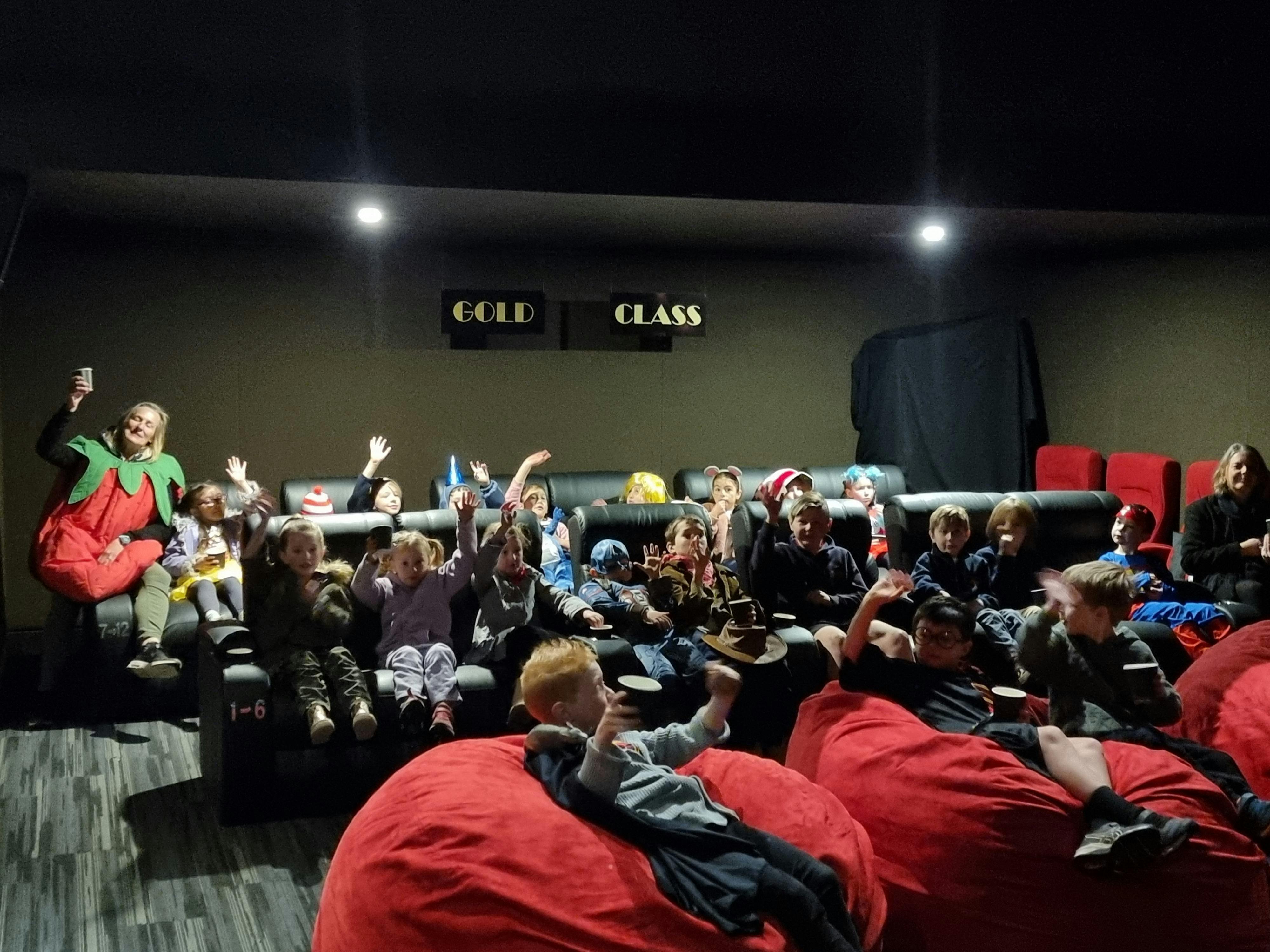 Mansfield Armchair Cinema Mansfield Mt Buller