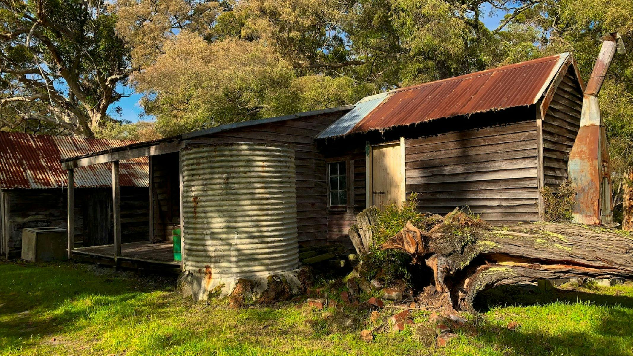 Shed