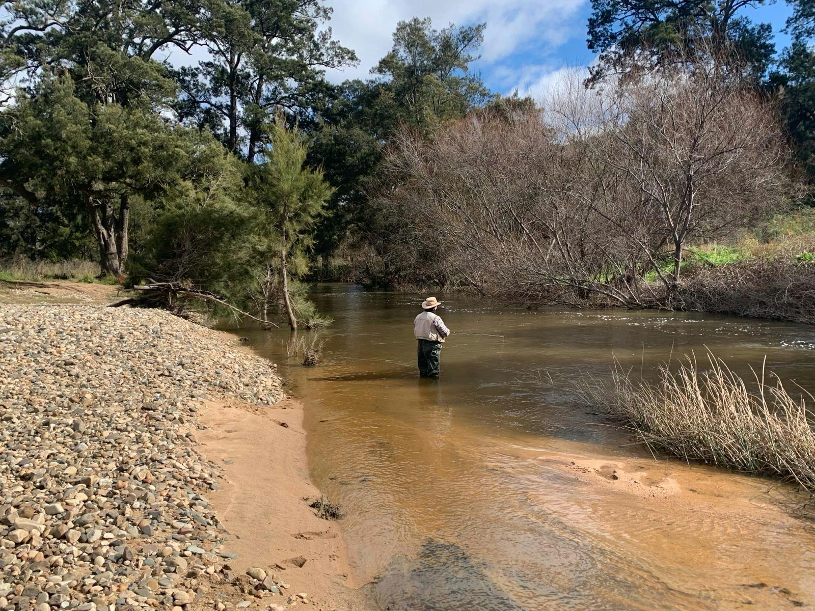 a serious fly angler standing need deep in river trying for trout with lush surrounds, sandy beach
