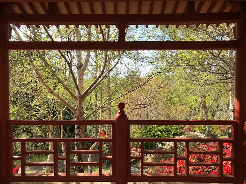 Shinrin Yoku North West photo