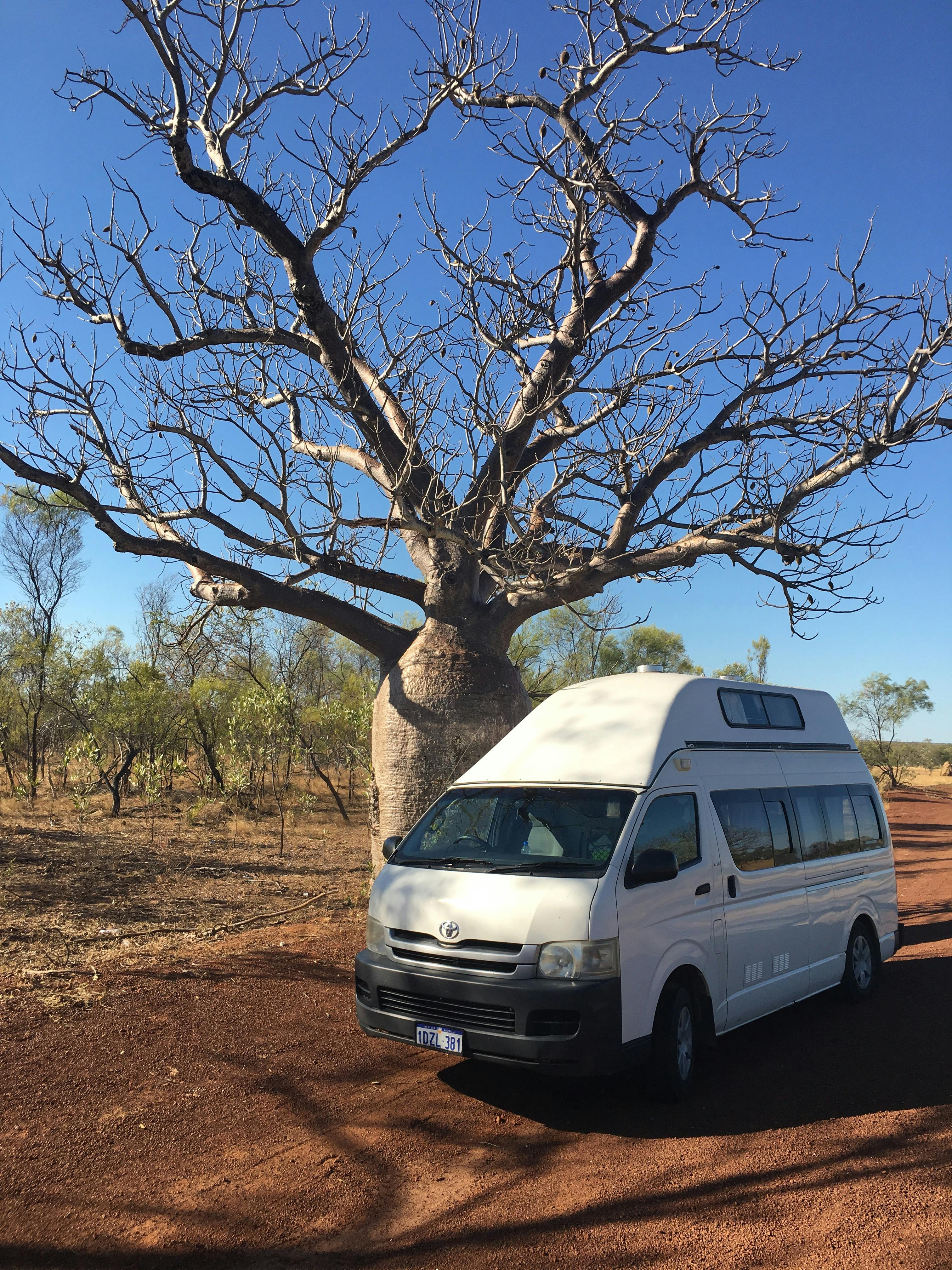 Bonito Camper, Coolbellup, Western Australia