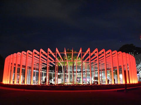 Astronomy at The Calyx