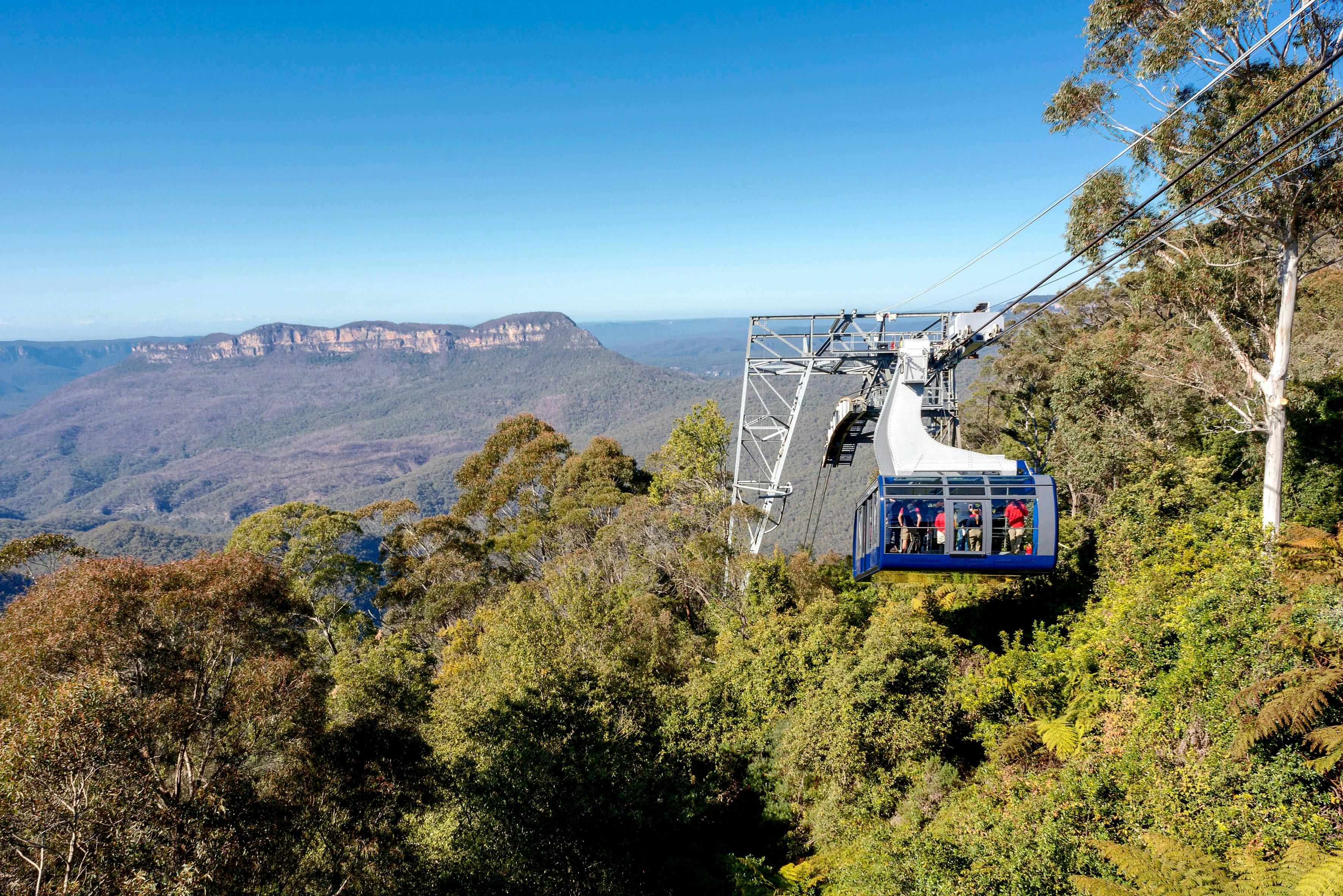 Scenic World Tours